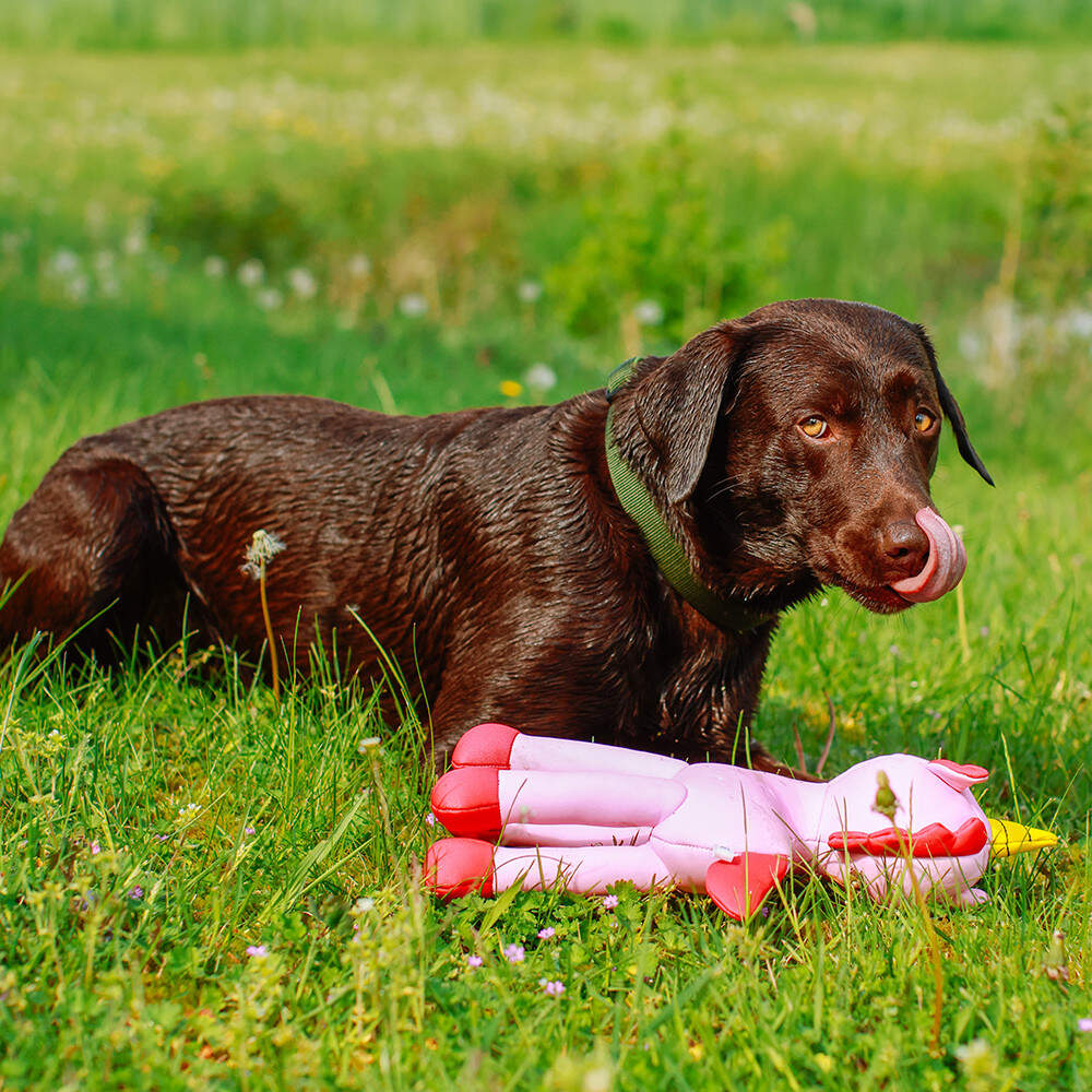 Nobby Wasserspielzeug Hund Einhorn Floating 39,5 cm rosa | Letzshop
