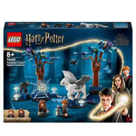 Jeux et jouets LEGO® Harry Potter™