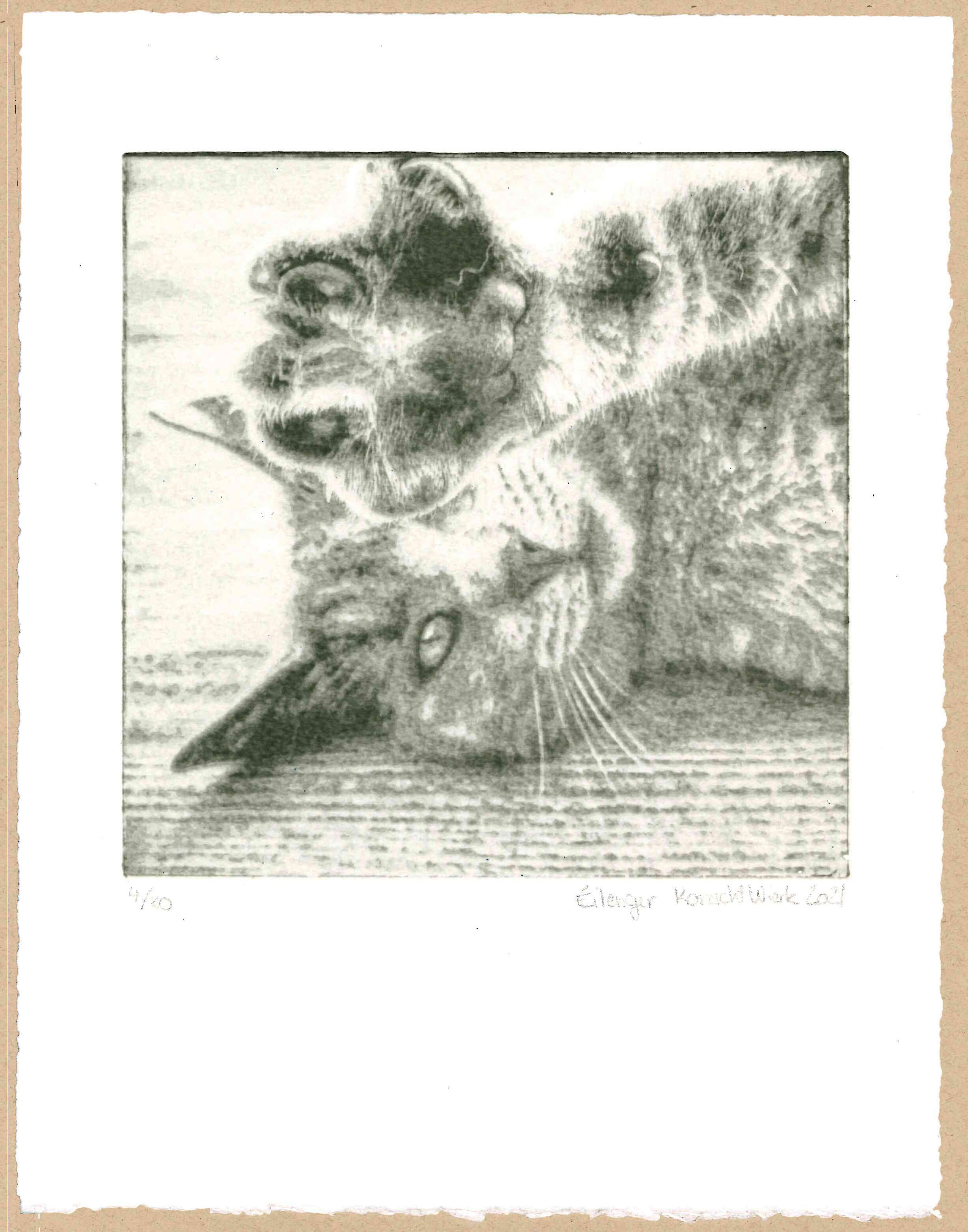"Chat" (Katze) - Serigrafie, Kunstsiebdruck
