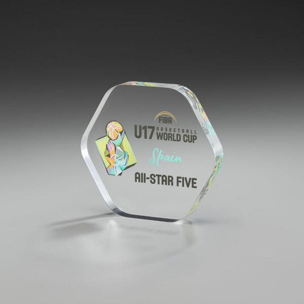 View Award 74017, 155mm, Acrylic clear Award including engraving. 