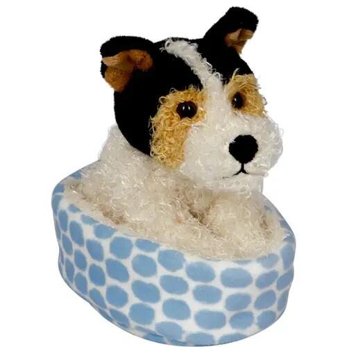 Foxterrier Boomer dans le panier