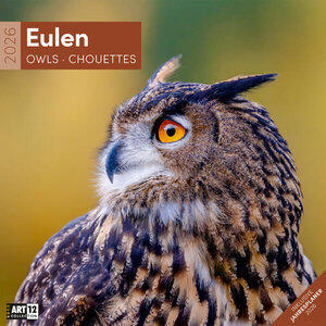 Eulen Kalender 2026 Maße (B/H): 30 x 30 cm, Broschürenkalender, Dt/engl/frz/ital
