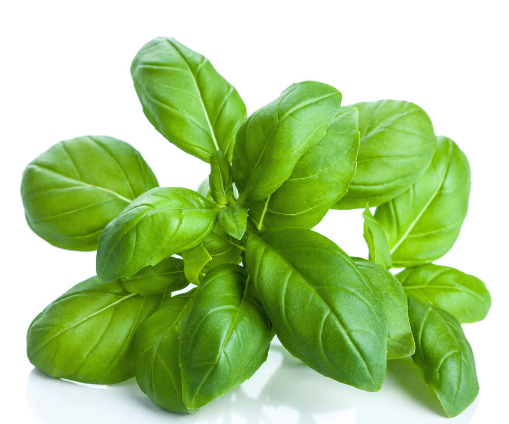 Letzebuerger Gem is Herbs basil Letzshop