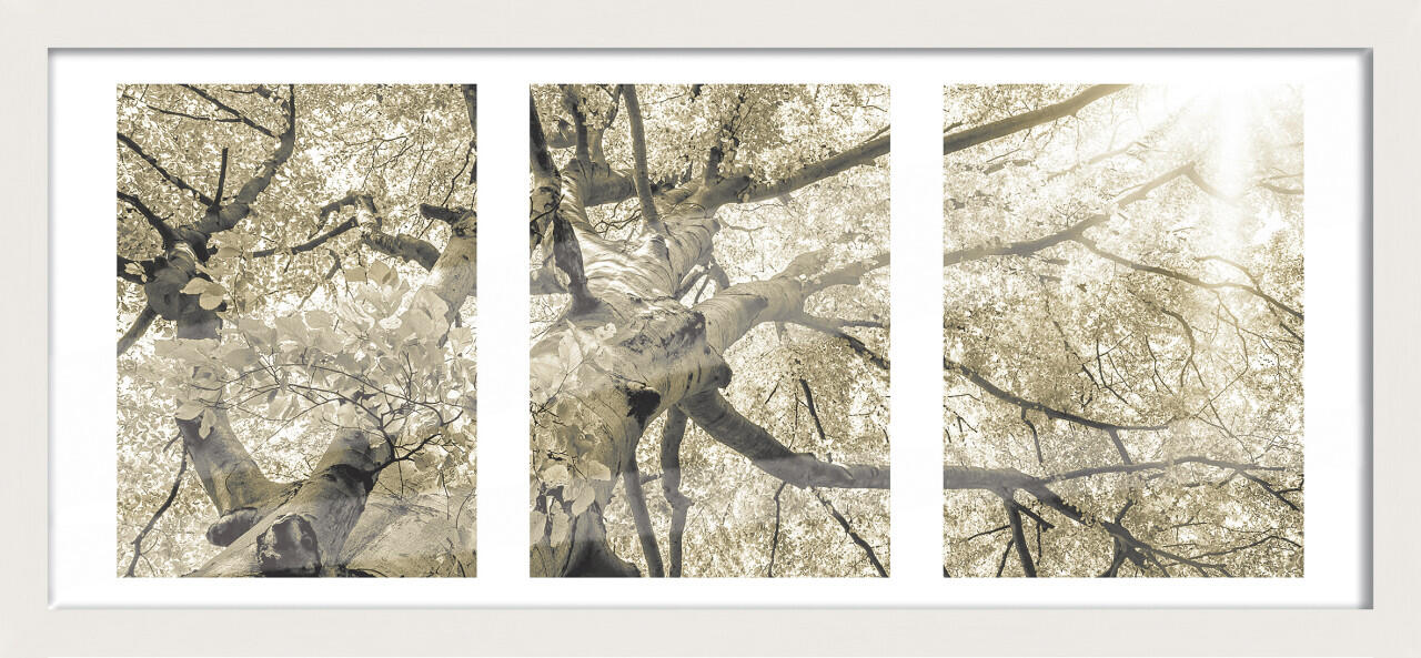 Wooden picture frame Luzern white 23 x 50 cm