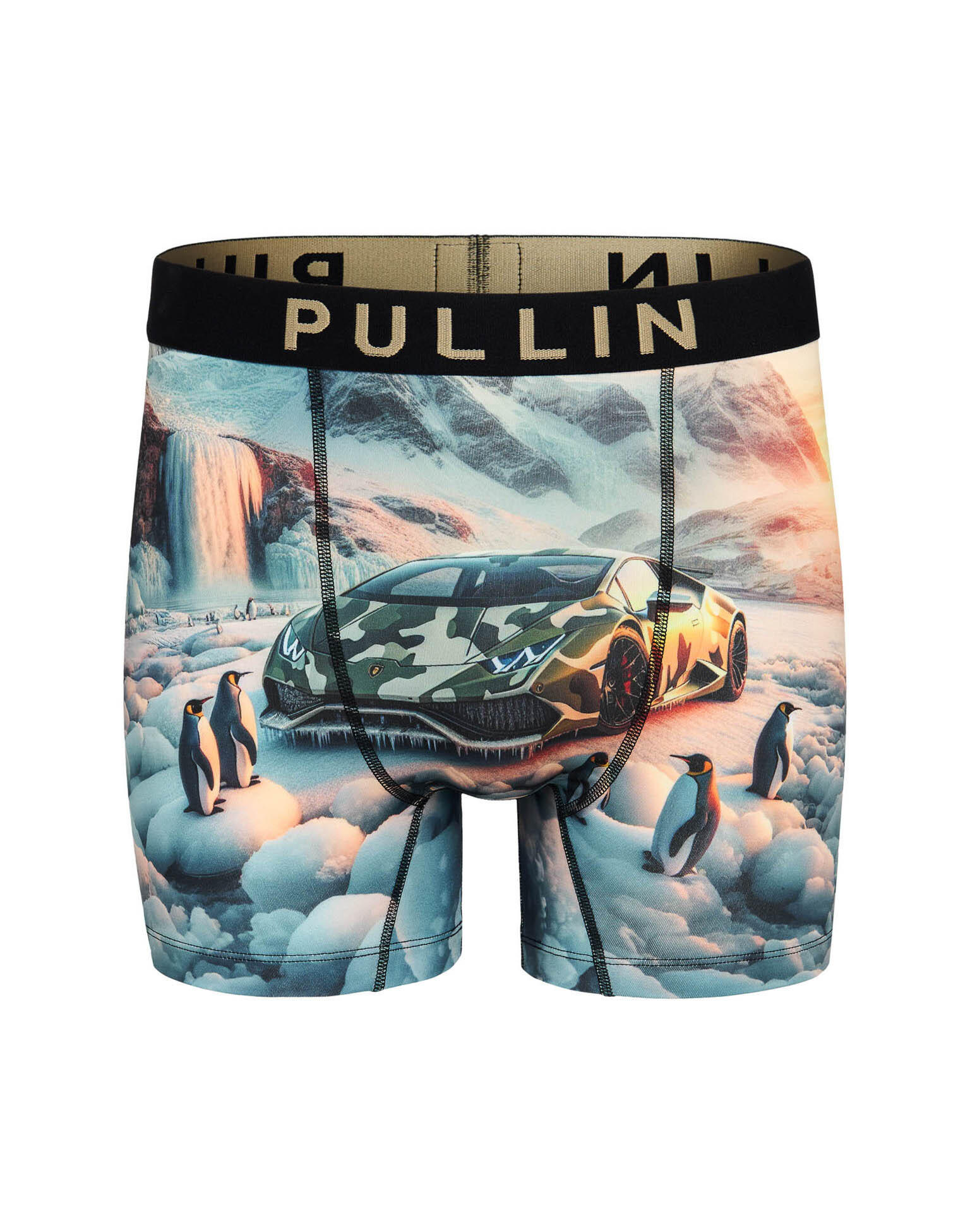 Caleçon  Short Trunk