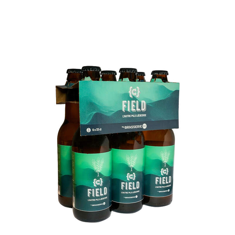 Val Dieu Braun Bier - Abteibier Aus Belgien, 6 Flaschen à 33cl (braunes Bier)