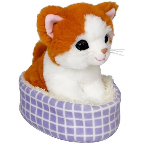 Chat Tessa dans le panier