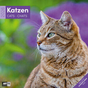 Calendrier pour chats 2026 Dimensions (L x H) : 30 x 30 cm, calendrier au format brochure, DE/EN/FR/IT, Art 12 Collection