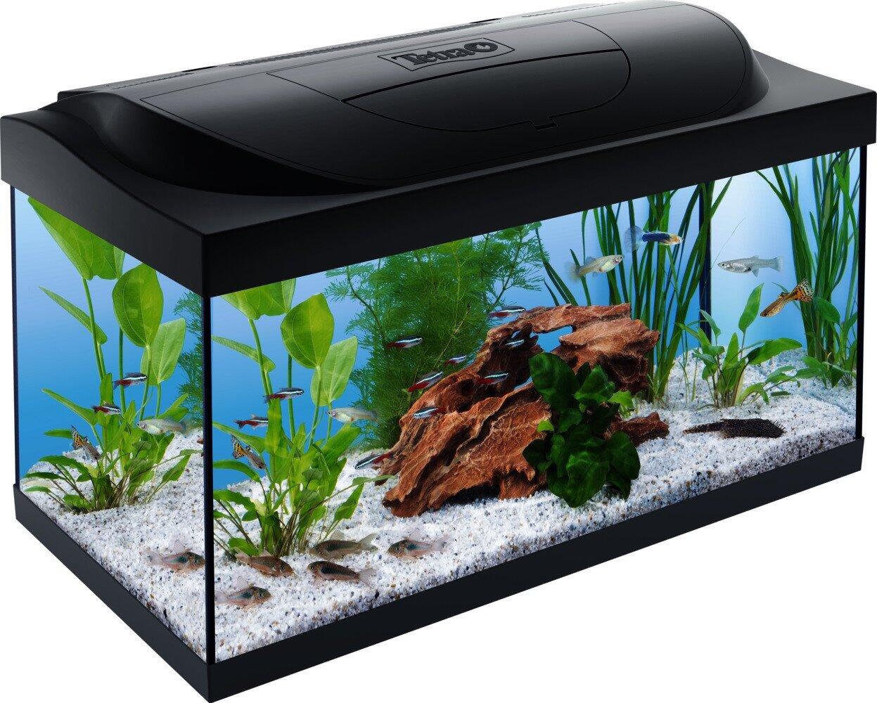 Tetra Aquarium-Set LED Kleine Forscher 54 L schwarz