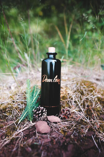 Dear Gin 50cl 42°