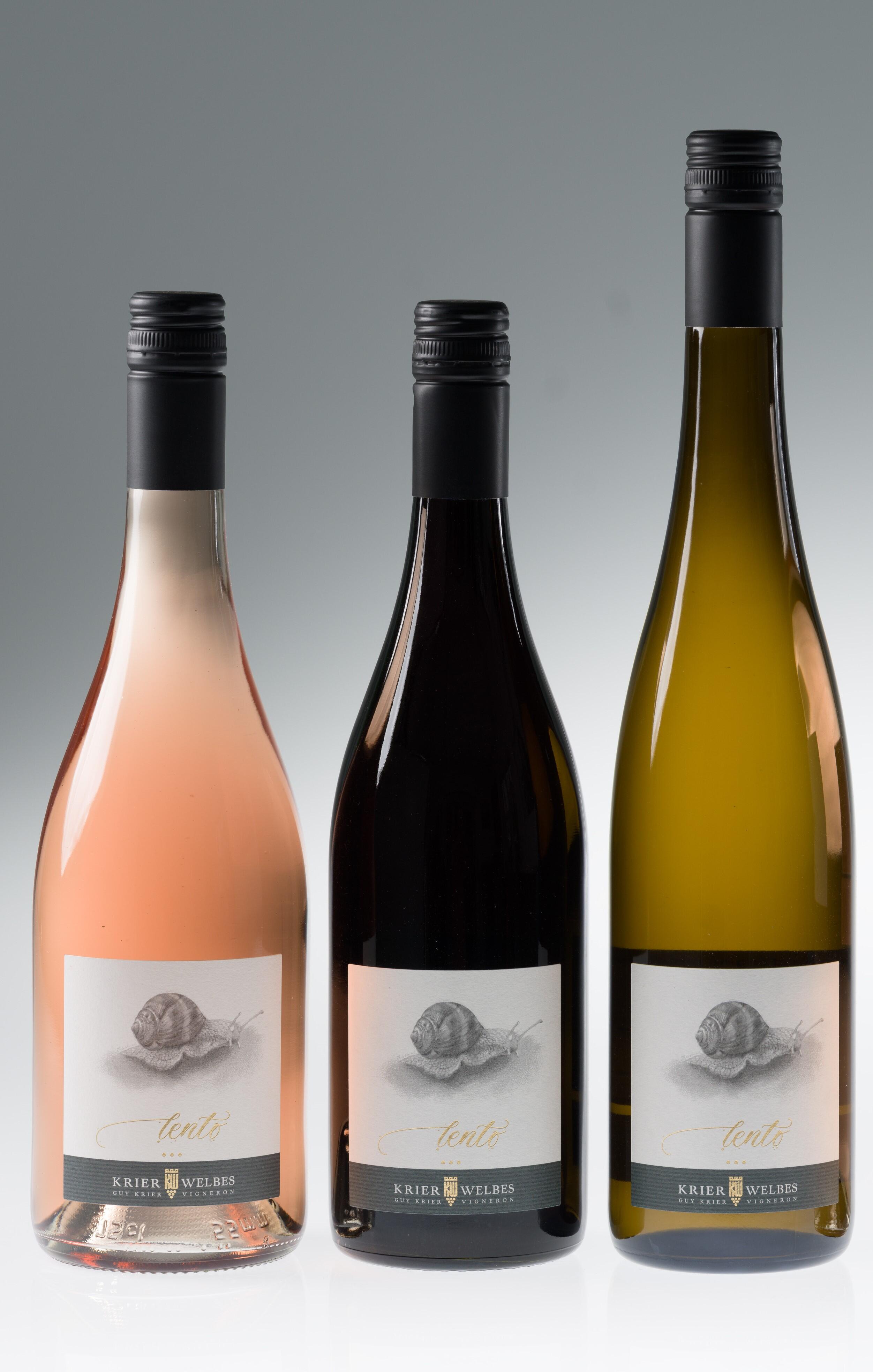 Lento tasting package rosé-red white