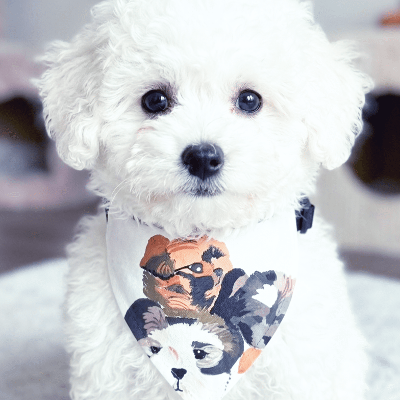 Miss Indie pet bandana