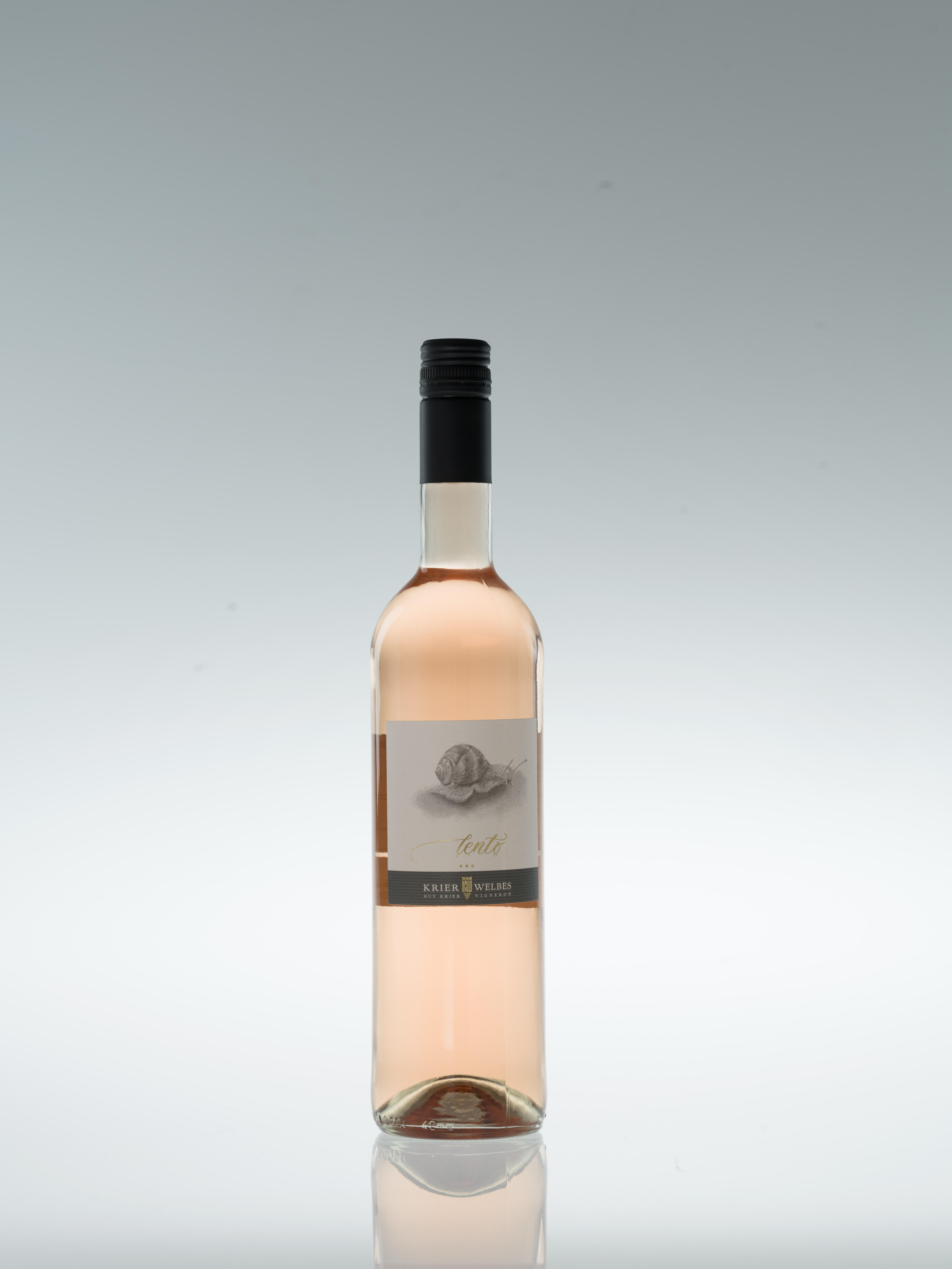 LENTO 2023 cuvée rosé