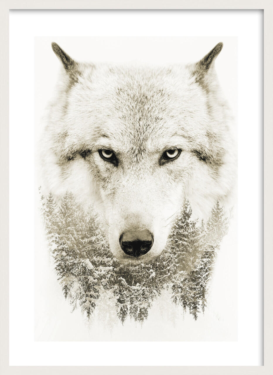 Wood picture frame Luzern white 50 x 70 cm