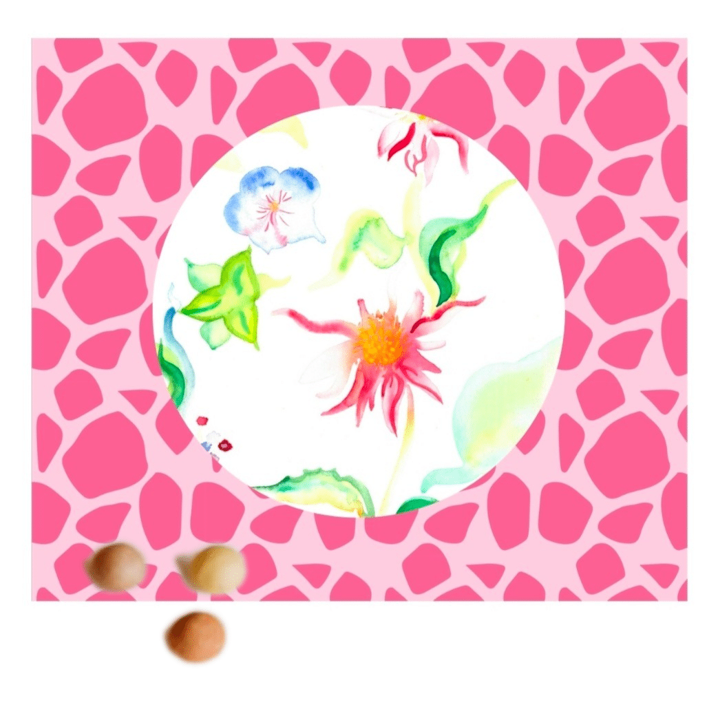 Flower Bombs Gift Box: Wildflower Sweets