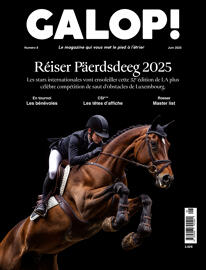 Magazines & Newspapers