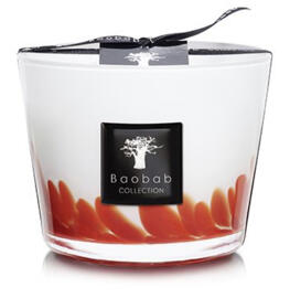Bougies Baobab Collection