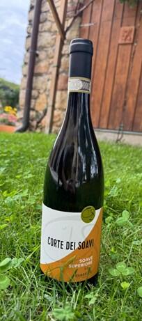 Corte Dei Soavi - Soave Superiore 2023 75cl