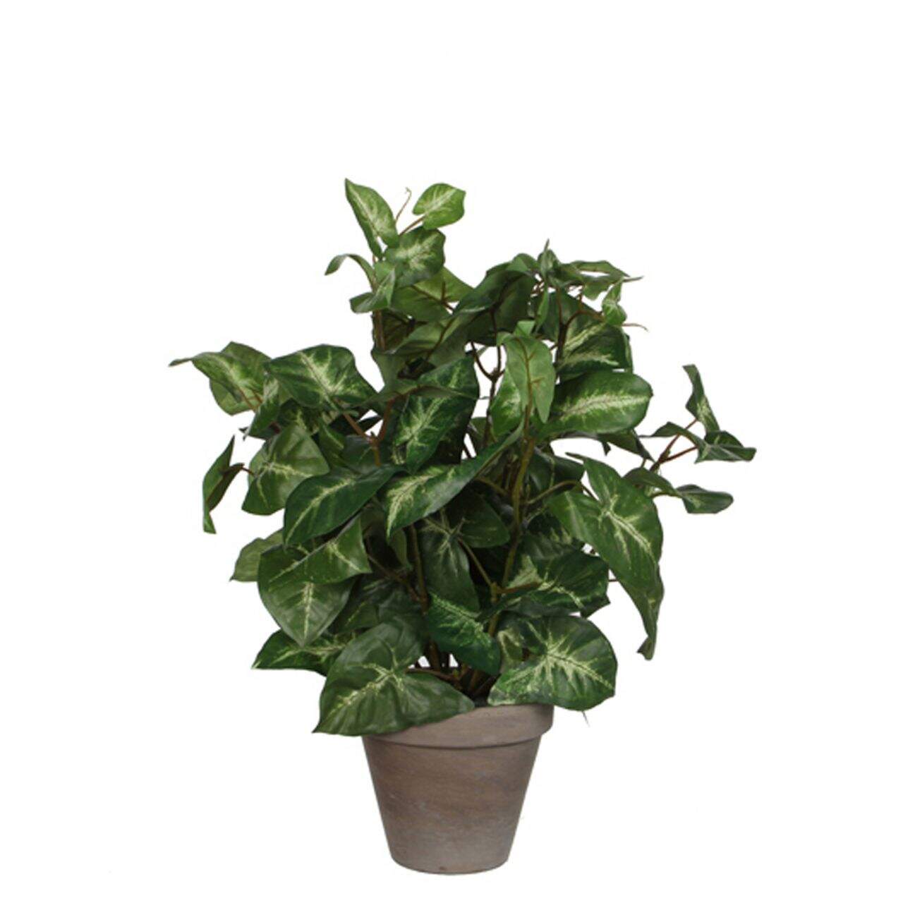 Mica Decorations Mica Kunstpflanze Syngonium grn im | Letzshop