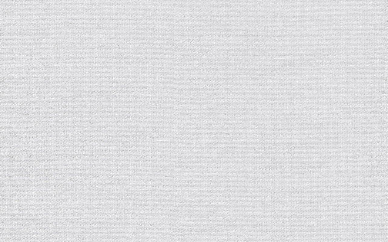 Erfurt non-woven wallpaper Basic 104 white 10.05 x 0.53 m