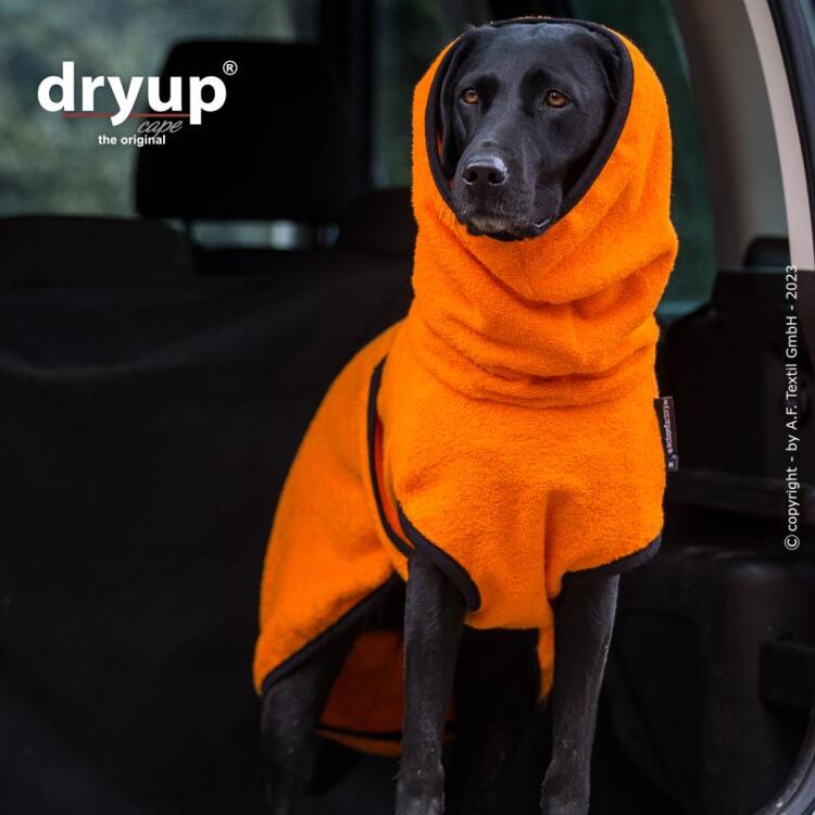 Hundemantel DryUp
