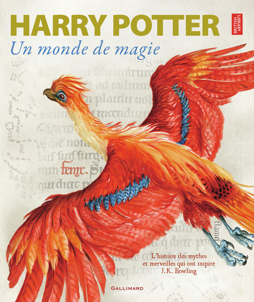 Harry Potter - Destination Poufsouffle : Coffret magique du Monde