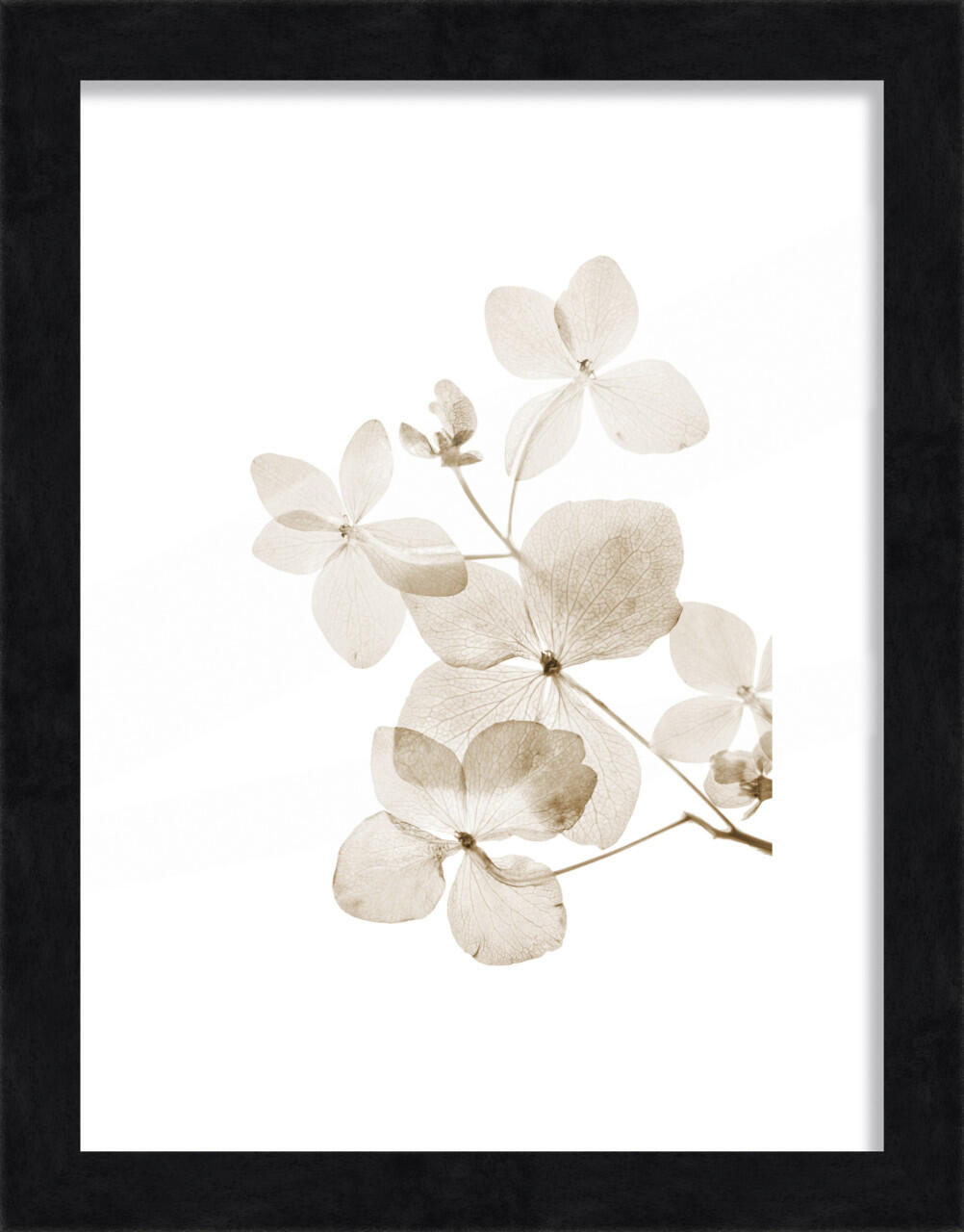 Wooden picture frame Luzern black 18 x 24 cm