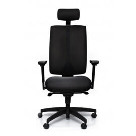 Büro- & Schreibtischstühle Ergotech  dynamic chair