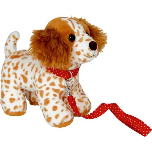 Chiot Frieda avec une laisse