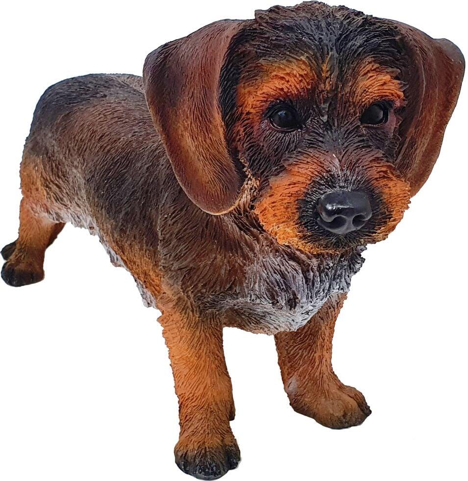 Dekofigur Rauhaardackel 27 x 18 x 50 cm