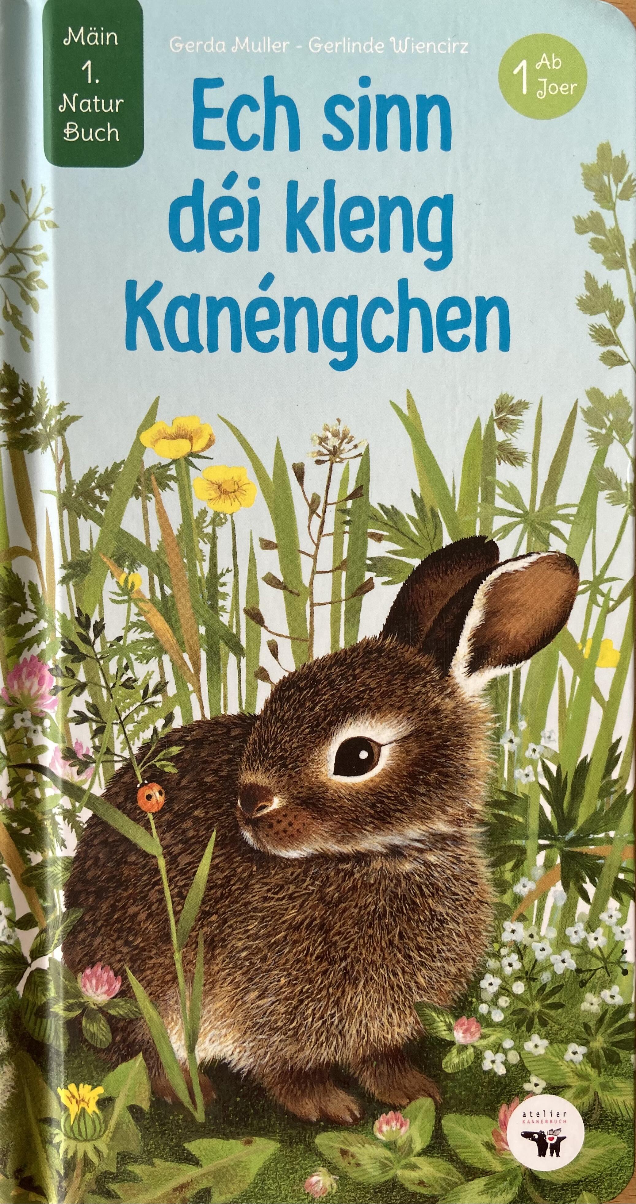 Pappbillerbuch: Ech sinn déi kleng Kanéngchen