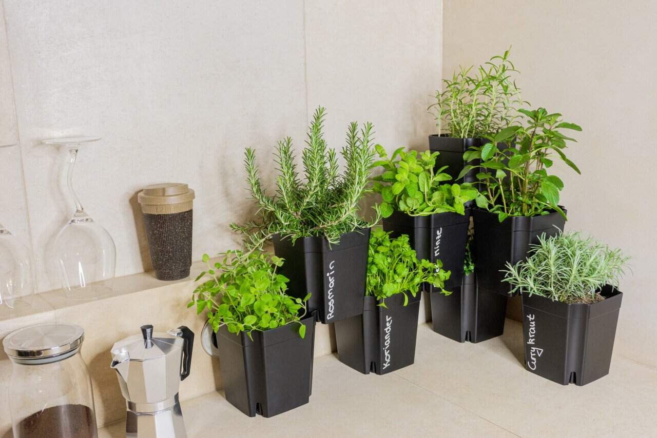 Flexiflora FlexiFlora Pflanztopf Modulares Pflanzsystem | Letzshop