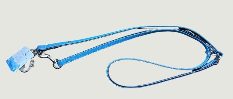 Azurblaue Lederleine,  Unterseite oxfordblau