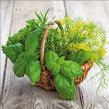 Deco-Glas picture - Garden herbs 30 x 30 cm
