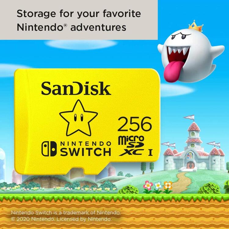SanDisk Carte Mémoire Micro SDXC 256GB pour Nintendo