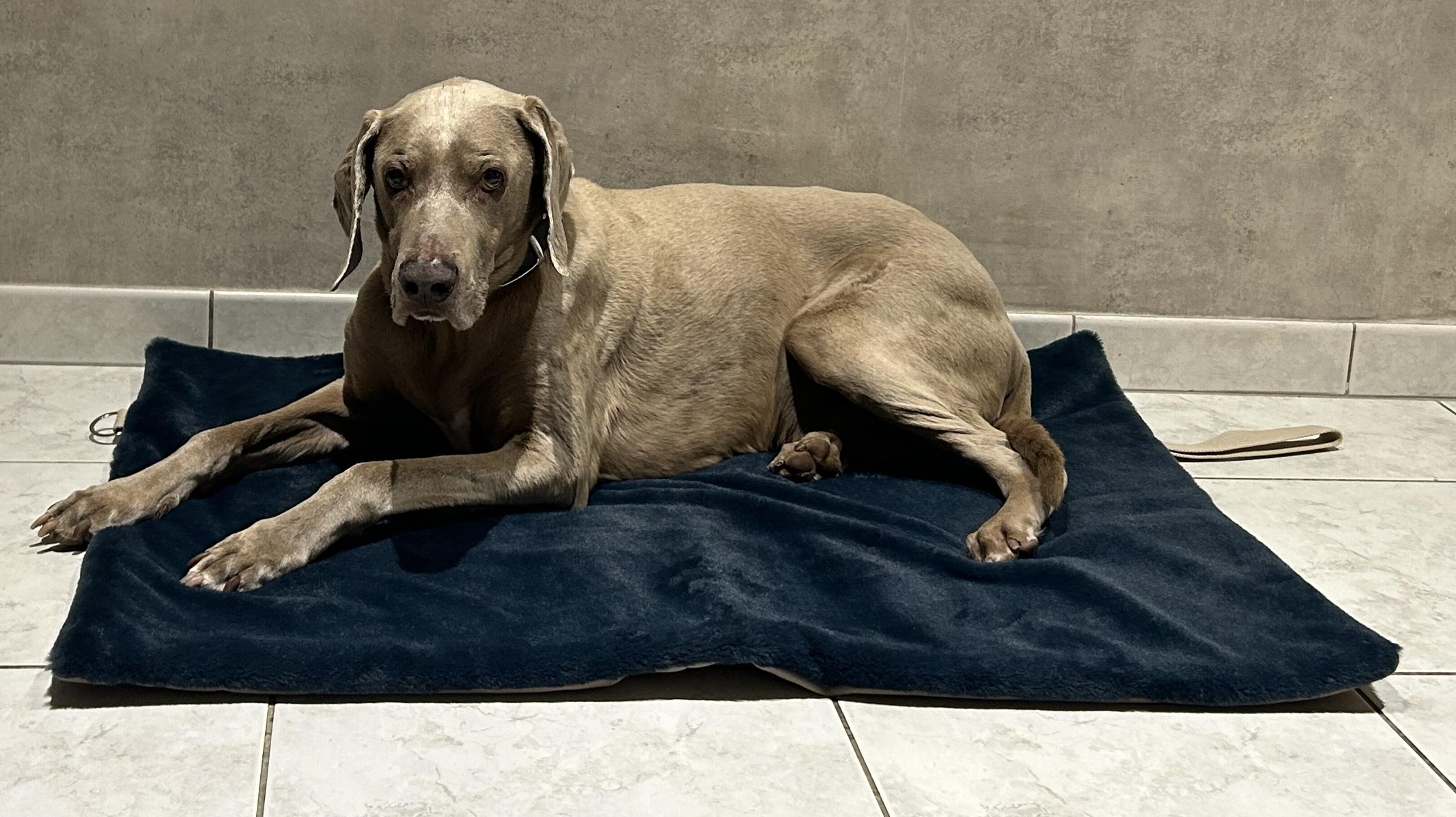  Wanderdecke, Decke für unterwegs