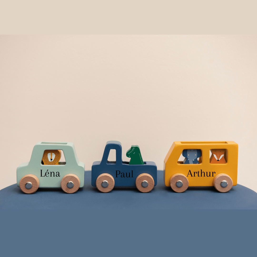 Coffret de voitures animaux en bois