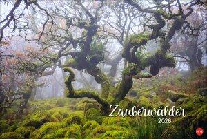 Zauberwälder Edition Kalender 2026 Wandkalender XL mit Fotos verwunschener Wälder und Lichtungen. Kalender-Großformat mit hochwert