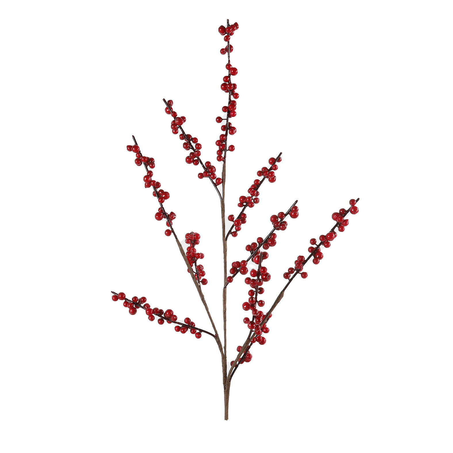 Kunstast - Ilex