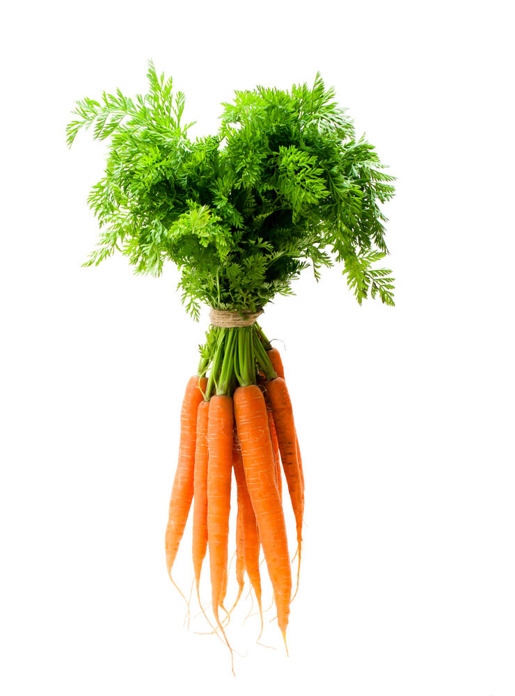 Gemüse Karotten im Bund