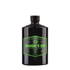 Gin Bavion's