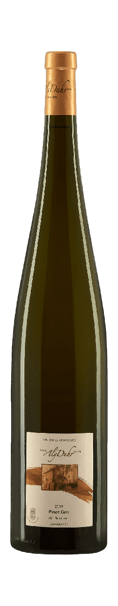 Luxemburg | 2024