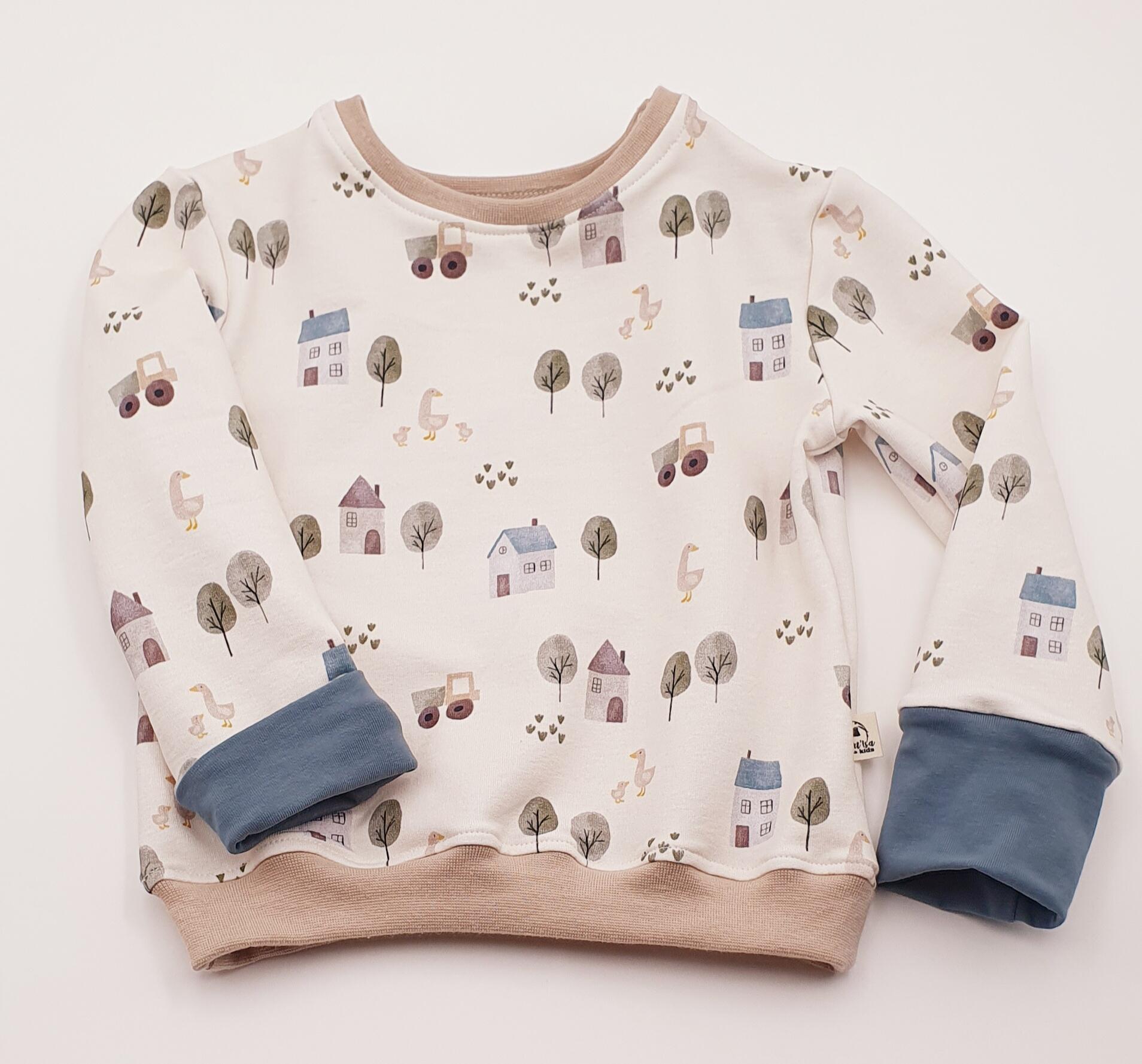 Pull col boutonné "Joli Village"