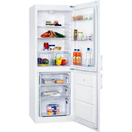 Kühlschränke Zanussi