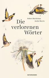 fiction Livres MSB Matthes & Seitz Berlin Verlagsgesellschaft mbH
