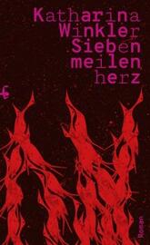 Livres fiction MSB Matthes & Seitz Berlin verlagsgesellschaft mbH
