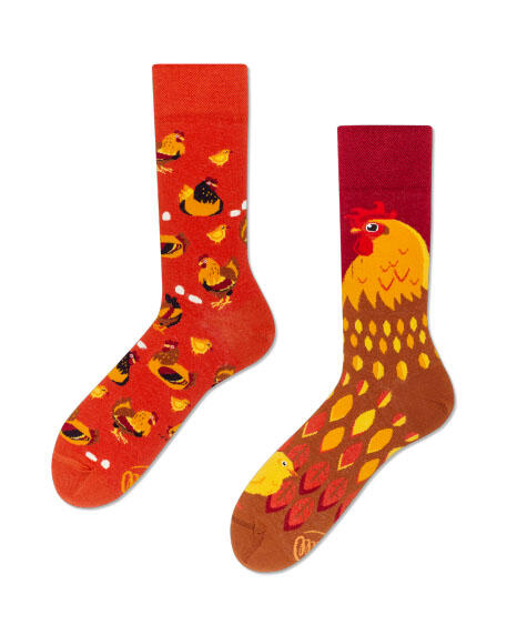Chaussettes - Golden Eggs