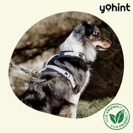 Colliers et harnais pour animaux de compagnie Vêtements pour chiens Articles pour animaux de compagnie YoHint