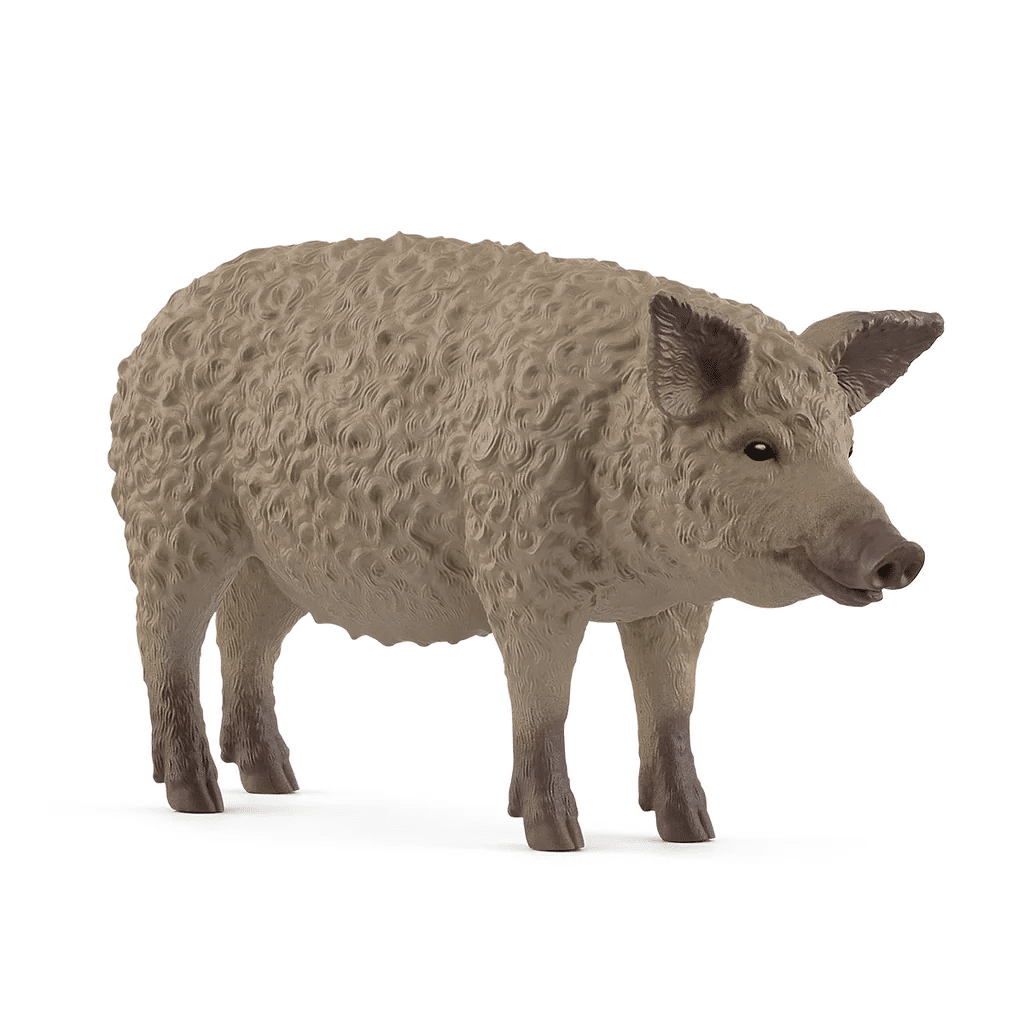 Wollschwein