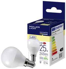 LED Light Bulbs Müller Licht